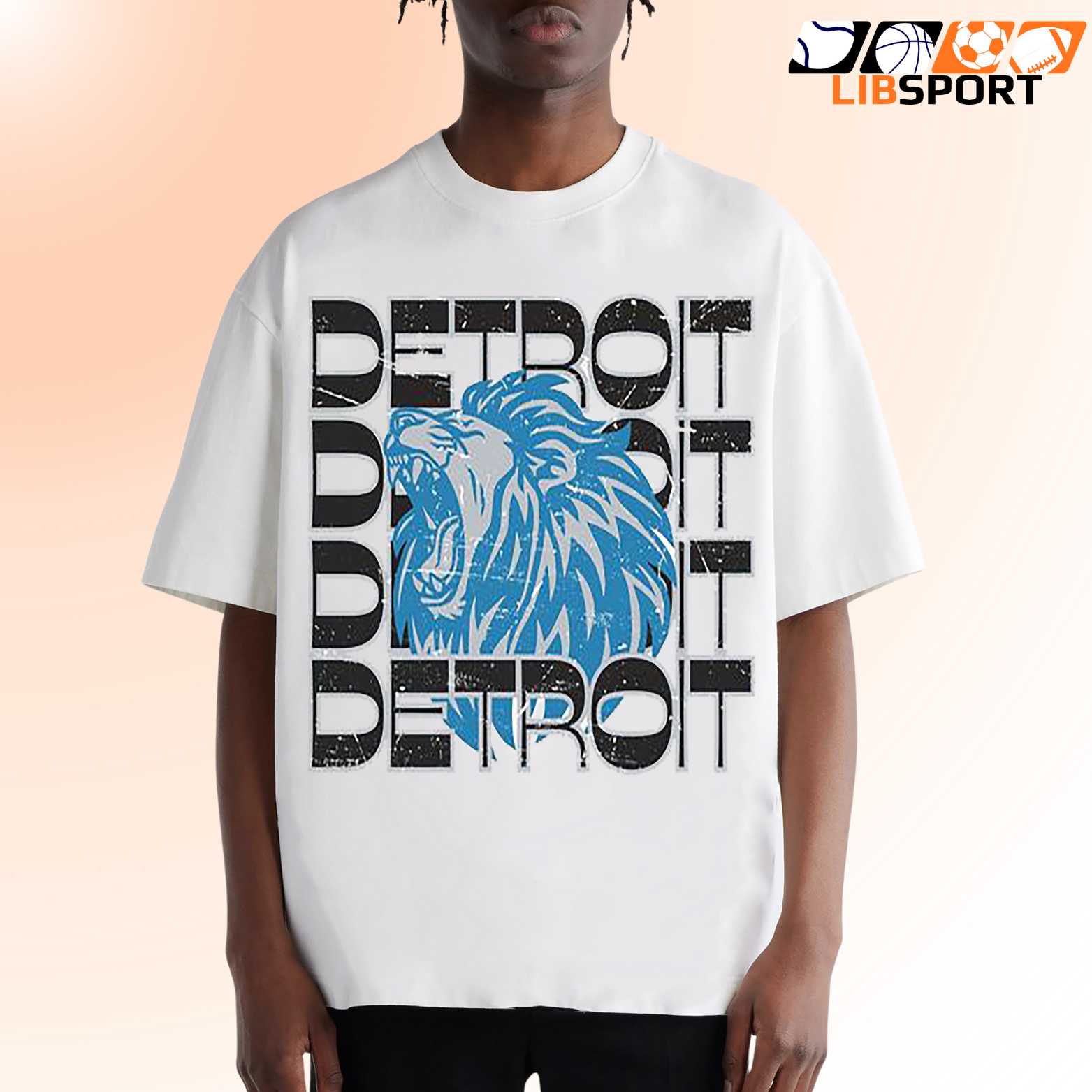 Vintage Detroit Lions T-Shirt, Game Day Crewneck, Classic Fan Gift